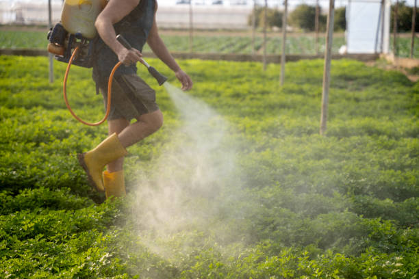 Best Local Pest Control Services  in Coralville, IA