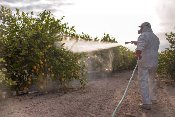 Best Pest Control Near Me  in Coralville, IA