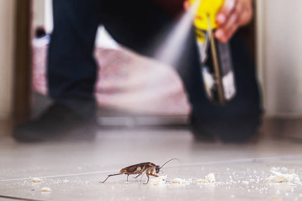 Best Exterminator Services  in Coralville, IA