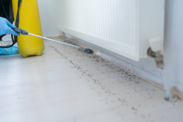 Best Commercial Pest Control Services  in Coralville, IA
